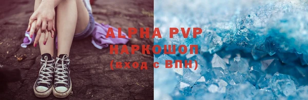 индика Баксан