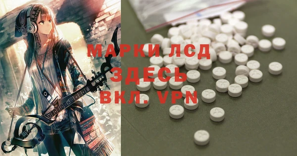 индика Баксан
