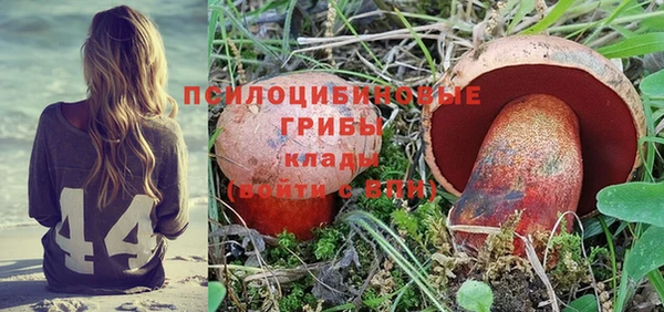 индика Баксан