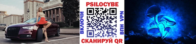 нарко площадка какой сайт  Омск  Псилоцибиновые грибы Psilocybine cubensis  мега ССЫЛКА 